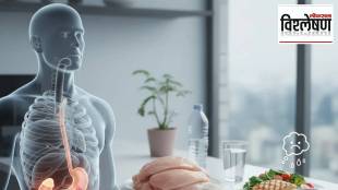 High Protein Diet for Weight Loss Side but what side Effects of excessive intake