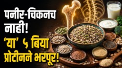 पनीर-चिकनच नाही! ‘या’ ५ बियांमध्ये आहे भरभरून प्रोटीन; वय वाढलं तरी हाडं राहतील मजबूत!