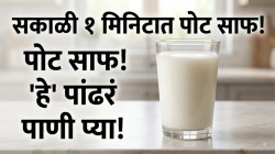 सकाळी १ मिनिटात पोट साफ! स्वयंपाकघरात सहज तयार होणारं हे ‘पांढरं पाणी प्या; रक्तदाबासाठीही ठरेल फायदेशीर!