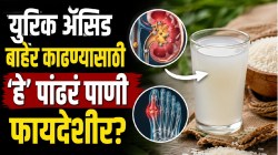 लघवीवाटे किडनीतून युरिक ॲसिड बाहेर पडेल; फक्त ‘हे’ पांढरं पाणी प्या; महिनाभरातच दूर होईल संधिवात