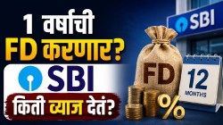 १ वर्षाची FD करायचा विचार आहे? SBI च्या १२ महिन्यांच्या एफडीवर नेमकं किती व्याज मिळतं, आधी जाणून घ्या…