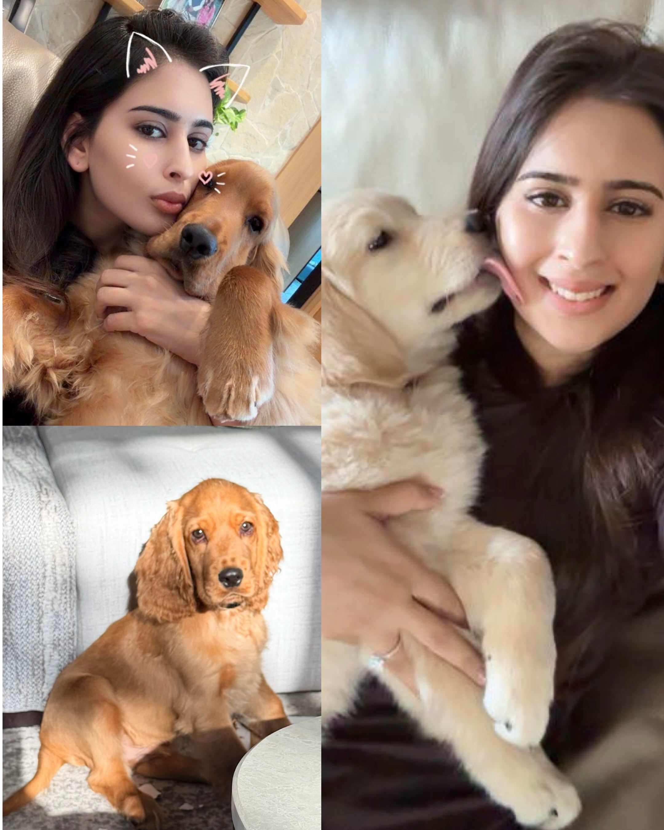 Saaniya Chandhok Tendulkar International Dog Day 2026