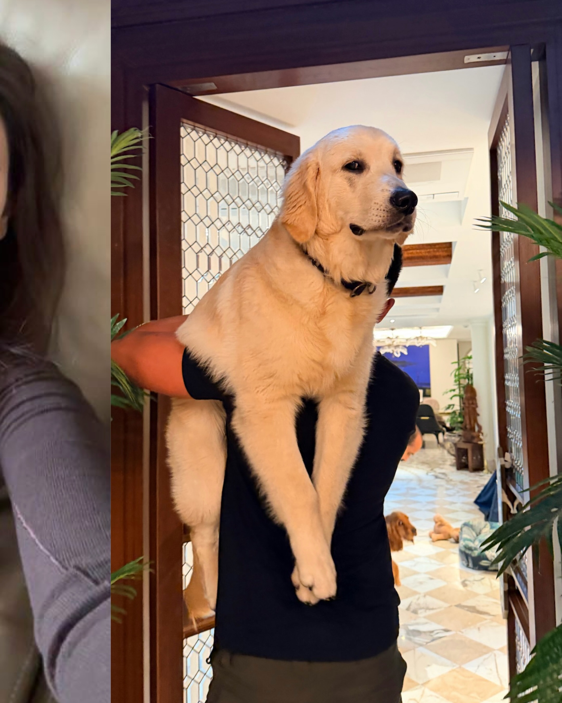 Saaniya Chandhok Tendulkar International Dog Day 2026