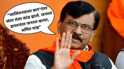 “तुम्ही मुळचे तडीपार गुंड आहात, कशाला…?”; अमित शाहांच्या पुणे दौऱ्यावर संजय राऊतांची बोचरी टीका