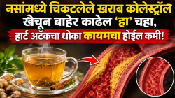 नसांमध्ये चिकटलेले खराब कोलेस्ट्रॉल खेचून बाहेर काढेल ‘हा’ चहा, हार्ट अटॅकचा धोका कायमचा होईल कमी!