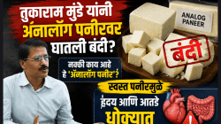 तुकाराम मुंडे यांनी अ‍ॅनालॉग पनीरवर घातली बंदी? नक्की काय आहे हे ‘अ‍ॅनालॉग पनीर’? हृदय आणि आतडे धोक्यात