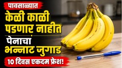 पावसाळ्यात केळी दोनच दिवसांत काळी पडतात? घरी आणताच ‘या’ पद्धतीने पेन अडकवून पाहा; १० दिवस केळी राहतील एकदम फ्रेश, होणार नाहीत लवकर खराब