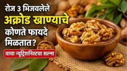 रोज ३ भिजवलेले अक्रोड खाण्याचे कोणते फायदे मिळतात? वाचा न्यूट्रिशनिस्टचा सल्ला