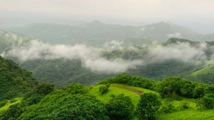 Western Ghats Eco Sensitive Zone Draft Analysis