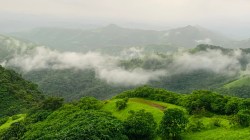 पश्चिम घाटाच्या संवर्धनाची नवी कसोटी