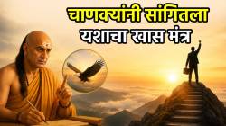 पक्ष्यांच्या पंखांचे उदाहरण देत चाणक्यांनी सांगितला यशाचा मंत्र! ‘या’ २ गोष्टी सगळ्यात महत्वाच्या; सगळे समजतील तुम्हाला हुशार