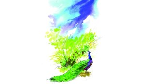 Ritu Sambhram Climate Change