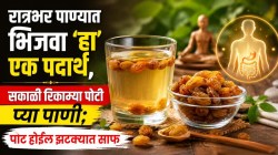 पोट झटक्यात होईल साफ; फक्त सकाळी रिकाम्या पोटी प्या ‘हे’ पाणी… गॅस, पचनाच्या समस्यांपासून होईल सुटका