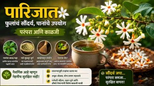 Parijat leaf tea benefits | Har Singar plant care at home | Night jasmine medicinal uses | Parijat leaves paste skin side effects