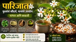 अंगणातील ‘या’ वनस्पतीची पानं आहेत शरीरासाठी फायदेशीर; स्कीन अ‍ॅलर्जीवर ठरतो रामबाण उपाय…