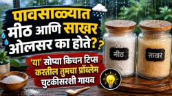 पावसाळ्यात मीठ आणि साखर ओलसर का होते? ट्राय करा ‘या’ सोप्या पद्धती, झटक्यात होईल प्रॉब्लेम गायब