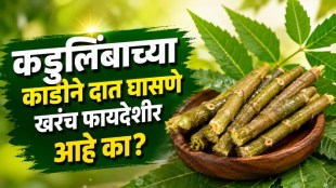 neem datun benefits | how to use neem stick for teeth | oral hygiene tips marathi | ayurvedic teeth whitening remedies