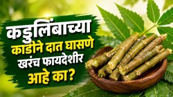 Brushing With Neem Stick: कडुलिंबाच्या काडीने दात घासले तर होतील ‘हे’ चमत्कारिक फायदे; पण ‘या’ चुका मात्र टाळा…