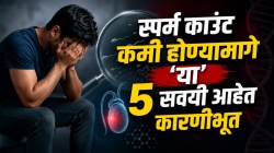 Low Sperm Count: ‘या’ ५ सवयींमुळे कमी होतो पुरूषांचा स्पर्म काउंट; प्रजनन क्षमतेवरही गंभीर परिणाम, तज्ज्ञांचा इशारा