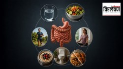 What does my poop type mean: १० हजार पावलं मोजता, पण सकाळी शरीराने दिलेला ‘बायो-फीडबॅक’ तपासता का? तुमची विष्ठा तुमच्या तब्येतीबद्दल काय सांगते?