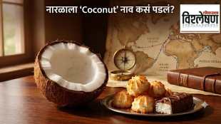 A halved fresh coconut alongside coconut macaroons and a coconut chocolate bar on a wooden desk, with an antique maritime world map, brass compass, and leather journal in the background