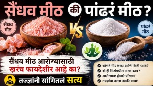 Sendha Namak vs White Salt Benefits | Rock Salt Benefits Marathi | Healthy Salt Tips | Health News Maharashtra