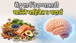 फक्त शरीरासाठीच नाही, मेंदूसाठीही फायदेशीर! रोजच्या आहारातील ‘हे’ पदार्थ ठेवतील तुमचा मेंदू हेल्दी