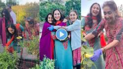 Video : स्वीट टोमॅटो, ताज्या भाज्या अन्…; अश्विनी भावेंच्या अमेरिकेतील घरी पोहोचले ‘हे’ मराठी कलाकार! घराजवळ फुलवलीये सुंदर बाग