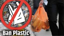 पार्टी पॉपरमधील प्लास्टिक वापरावर बंदीची मागणी