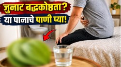 जुनाट बद्धकोष्ठता एका रात्रीत होईल कमी, सकाळी ‘या’ पानाचे पाणी प्या; पोट होईल साफ, आतड्यांतील सर्व घाण पडेल झटक्यात बाहेर