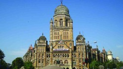 डासांची उत्पत्तीस्थाने शोधताना महापालिकेच्या कामगाराचा मृत्यू; कर्मचाऱ्यांच्या सुरेक्षेचा प्रश्न ऐरणीवर