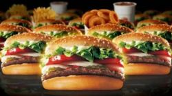 FDA action on Burger King : पुण्यातील झेन झीच्या अड्ड्याला एफडीए चा झटका; बर्गर किंग वर कारवाई; परवाना निलंबित
