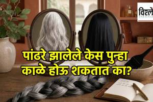 Can White Hair Turn Black Naturally | पांढरे झालेले केस पुन्हा काळे होऊ शकतात का