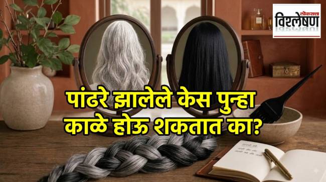 Can White Hair Turn Black Naturally | पांढरे झालेले केस पुन्हा काळे होऊ शकतात का