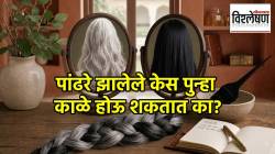 पांढरे झालेले केस पुन्हा काळे होऊ शकतात का? तज्ज्ञांचा मोठा खुलासा; वाचा कारणे आणि उपाय
