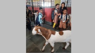 BMC School Govandi Goat Farming Controversy