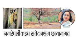 नजरेपलीकडचं संवेदनक्षम छायाजगत
