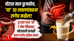 पोटात मल कुजतोय, ‘या’ १० लक्षणांवरुन लगेच कळेल! दुधात फक्त ‘ही’ १ गोष्ट मिसळा; पोटातली सगळी घाण लगेच होईल साफ