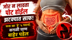 जोर न लावता पोट होईल झटक्यात साफ! फक्त खा ‘हे’ ५ पदार्थ; आतड्यांतील चांगले बॅक्टेरिया वाढतील अन् सगळी घाण बाहेर पडेल