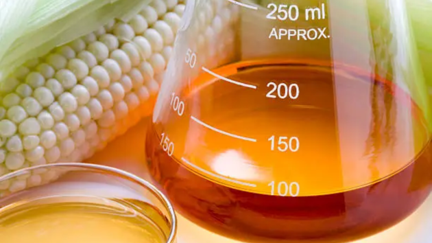 why uric acid increases
