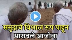 आनंदाच्या क्षणांना वयाचे बंधन नसते! ८० वर्षानंतर पहिल्यांदा समुद्र पाहिल्यावर आजोबांनी कशी रिॲक्शन दिली बघाच; VIDEO व्हायरल