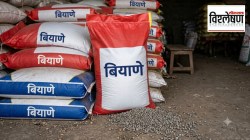 बोगस बियाण्यांचा शेतकऱ्यांचा फटका; महाबीजवरील तक्रारींचे काय?