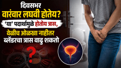 दिवसभर वारंवार लघवी होतेय? ‘या’ पदार्थांमुळे होतोय त्रास, वेळीच ओळखा नाहीतर ब्लॅडरचा त्रास वाढू शकतो