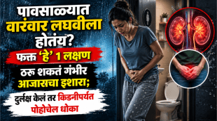 frequent urination during monsoon bladder infection symptoms peeing so much all of a sudden reason