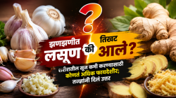 झणझणीत लसूण की तिखट आलं? शरीरातील सूज कमी करण्यासाठी कोणतं अधिक फायदेशीर; तज्ज्ञांनी दिलं उत्तर