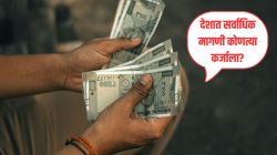 ऑटो लोन-गृहकर्ज नाही तर ‘या’ कर्जाला देशात सर्वाधिक मागणी; बँकेत गेलं की झटपट मिळतात पैसे