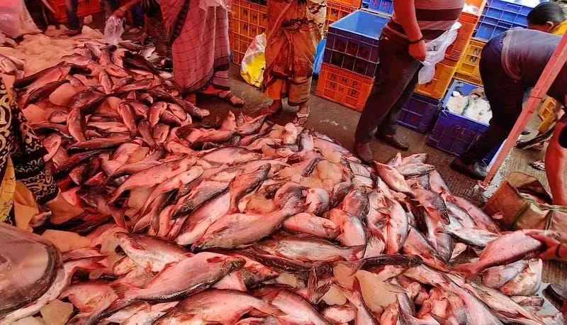 Fish Market