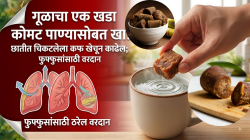 गूळाचा एक खडा कोमट पाण्यासोबत खा! छातीत चिकटलेला कफ खेचून बाहेर काढेल; फुफ्फुसांसाठी ठरेल वरदान, डॉक्टरांचा खुलासा