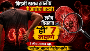 kidney damage early signs in body kidney disease symptoms in marathi health tips how kidney works