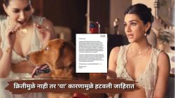 क्रिती सेनॉनमुळे नाही तर ‘या’ कारणामुळे हटवली वादग्रस्त जाहिरात; ‘जीवा’ कंपनीच्या संस्थापकांचा खुलासा, म्हणाले, “संदेश योग्यच…”